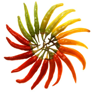 Charleston_Hot_peppers_white_background