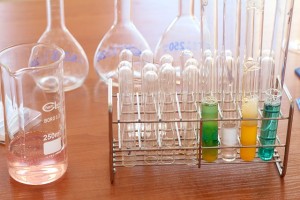 Una settimana di laboratori con i bambini della scuola Piero della Francesca ad Acilia